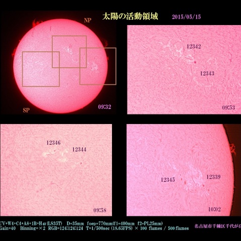 太陽の活動領域