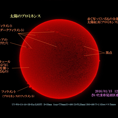 太陽のプロミネンス