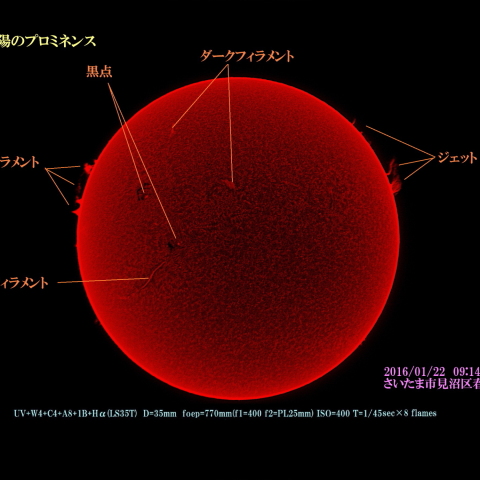 太陽のプロミネンス