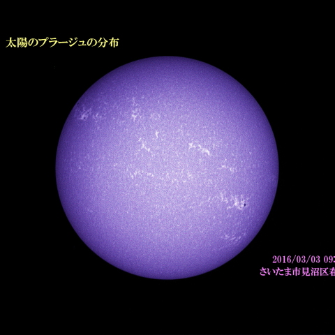 太陽のプラージュの分布