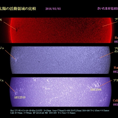 太陽の活動領域の比較