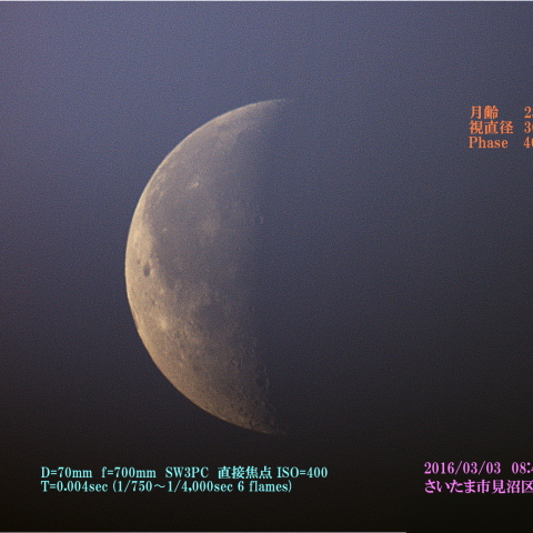 春霞の有明の月