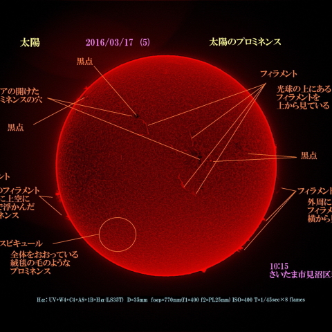 太陽　2016/03/17 (5) 太陽のプロミネンス