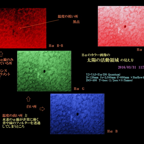 Hαカラー画像の太陽の活動領域の見え方