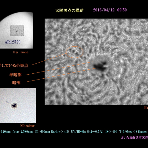 太陽の黒点の構造