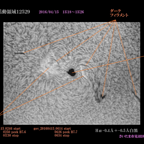活動領域12529 2016/04/15