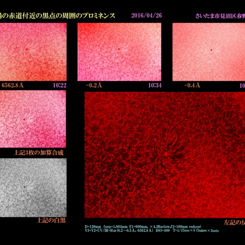 太陽の赤道付近の黒点の周囲のプロミネンス　2016/04/26
