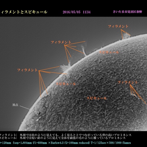 フィラメントとスピキュール　2016/05/05