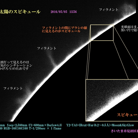 太陽のスピキュール　2016/05/05