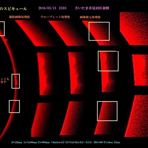 太陽のスピキュール　2016/05/13