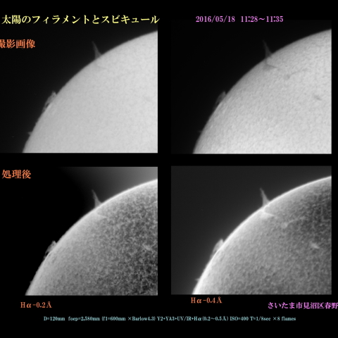 太陽のフィラメントとスピキュール