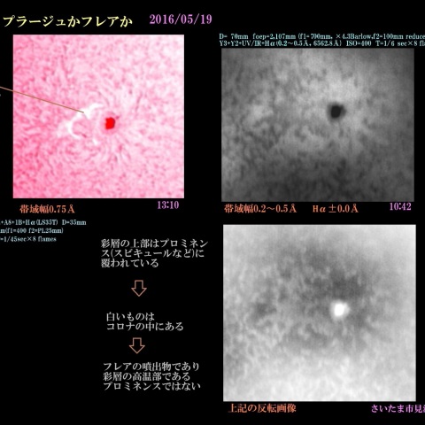 プラージュかフレアか　2016/05/19