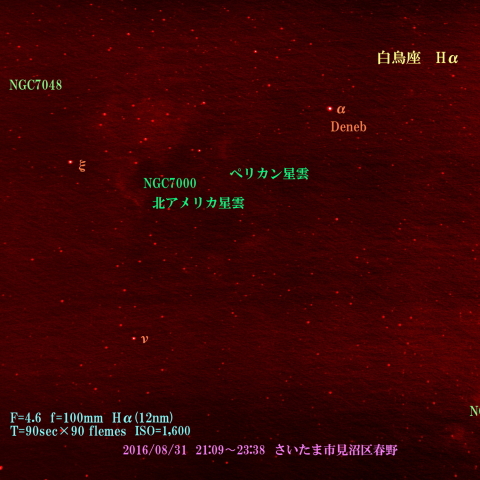 白鳥座　北アメリカ星雲付近　Hα(12nm) 2016/08/31