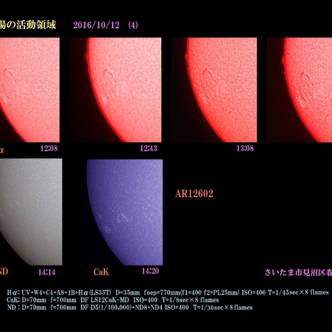 太陽の活動領域　2016/10/12 (4)