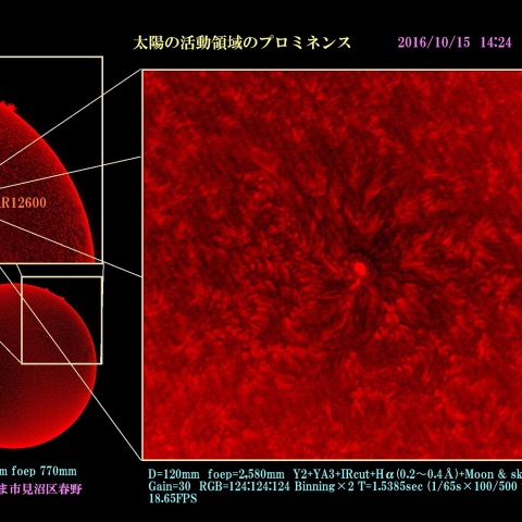 太陽の活動領域のプロミネンス　2016/10/15