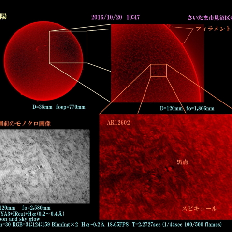 太陽　2016/10/20 10:47　Hα