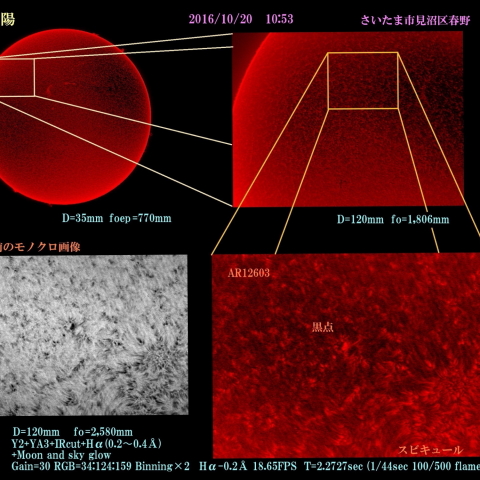 太陽　2016/10/20 10:53 Hα