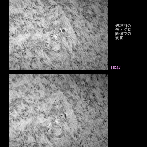 太陽の活動領域の変化　2016/10/20 モノクロ