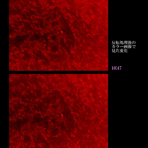 太陽の活動領域の変化　2016/10/20 Hα カラー