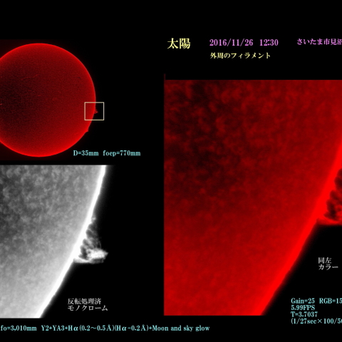 太陽　2016/11/26 外周のフィラメント