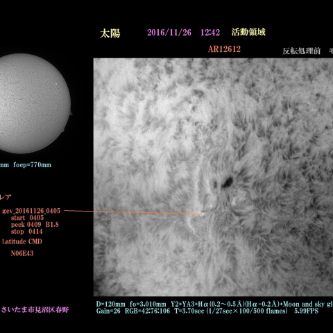 太陽　2016/11/26 活動領域　AR12612 モノクロ