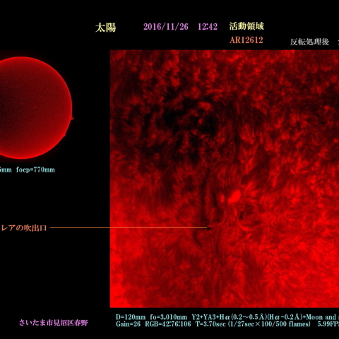 太陽　2016/11/26 活動領域　AR12612 カラー