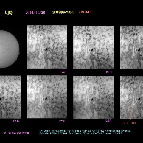 太陽　2016/11/26　活動領域の変化 モノクローム