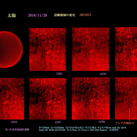 太陽　2016/11/26　活動領域の変化　カラー