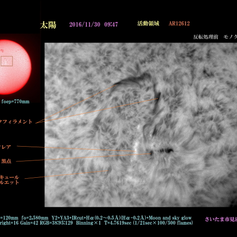 太陽　2016/11/30 活動領域　AR12612 モノクローム