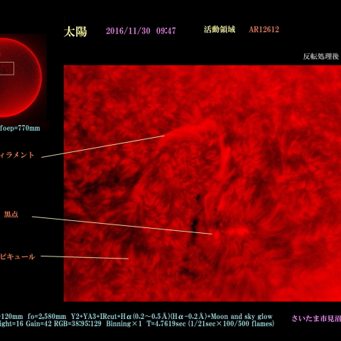 太陽　2016/11/30 活動領域　AR12612 カラー