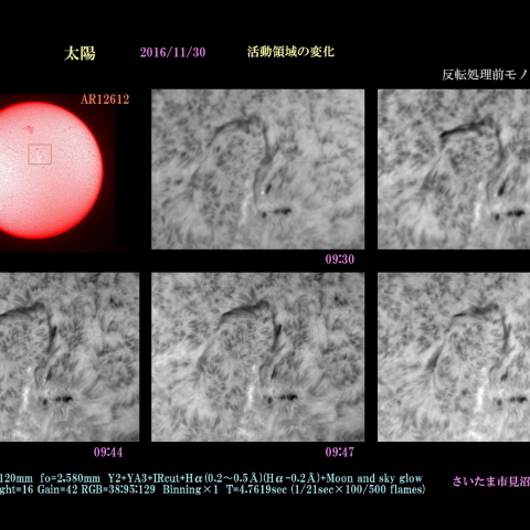 太陽　2016/11/30 活動領域の変化　AR12612 モノクローム