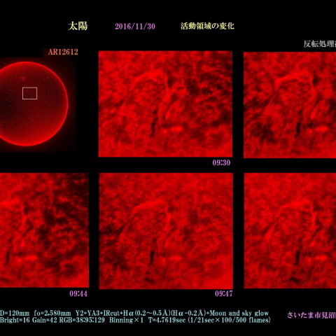 太陽　2016/11/30 活動領域の変化　AR12612 カラー