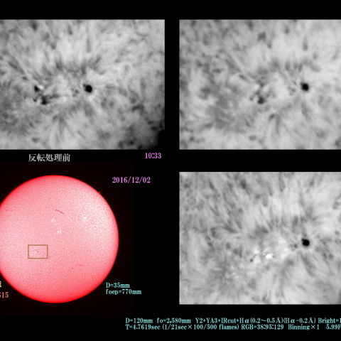 太陽　2016/12/02 活動領域　AR12615 白黒