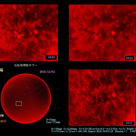 太陽　2016/12/02 活動領域　AR12615 カラー