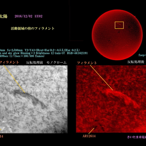 太陽　2016/12/02 活動領域の傍のフィラメント