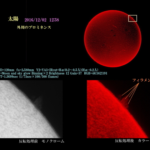 太陽　2016/12/02　外周のプロミネンス