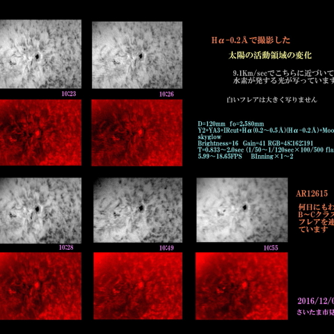 太陽　2016/12/06 活動領域の変化　Hα-0.2Å