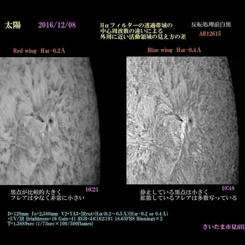 太陽　2016/12/08 Hαの 帯域の違いによる活動領域の見え方の差　白黒