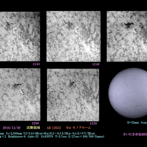 太陽　2016/12/30 活動領域　AR12622 Hα　モノクローム