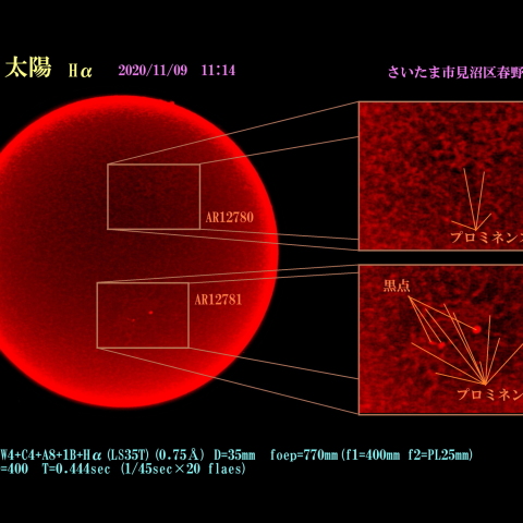 太陽 Hα 2020/11/09