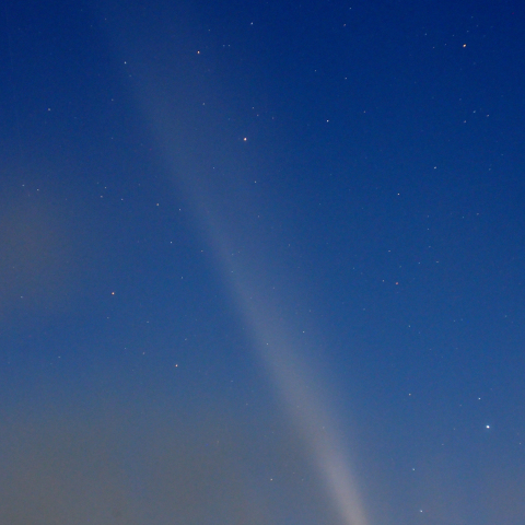 紫金山・アトラス彗星（C/2023 A3）