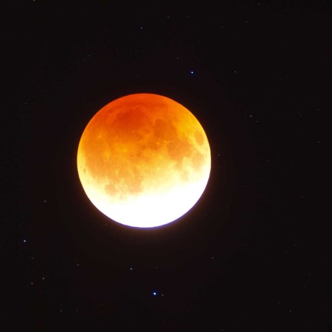 皆既中の周辺の星たち