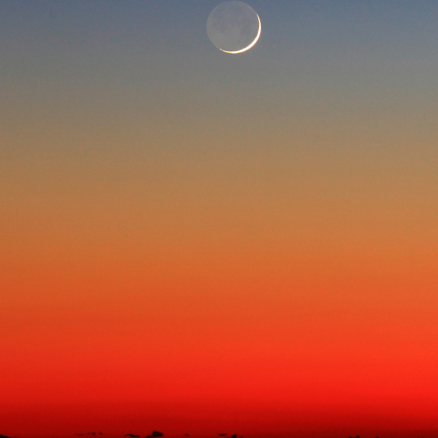 夕月 月齢1.4の地球照
