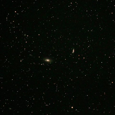 おおぐま座の銀河M81とM82