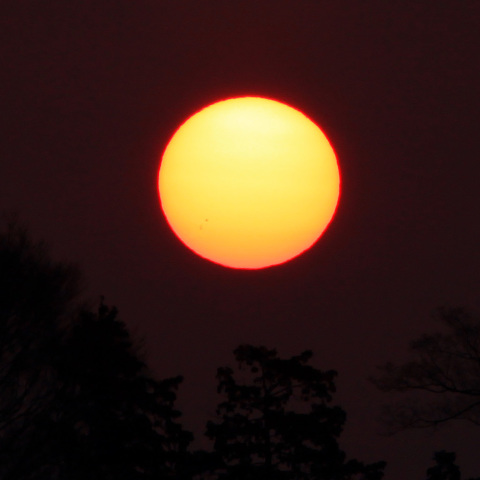 日の出の太陽の黒点