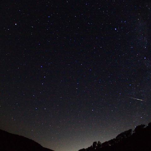 北斗七星とはくちょう座と流星