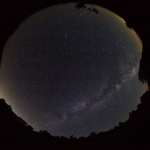 魚眼レンズで天の川