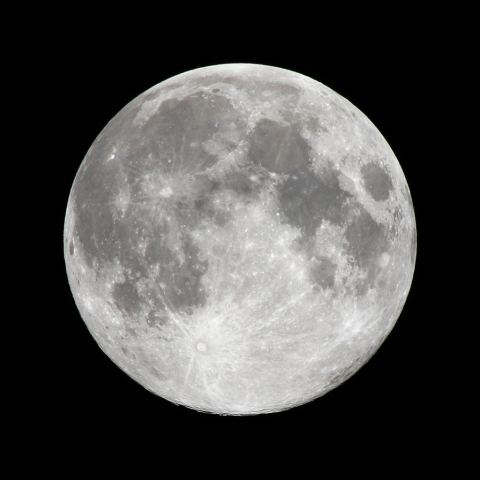 ブルームーン 月齢13.9