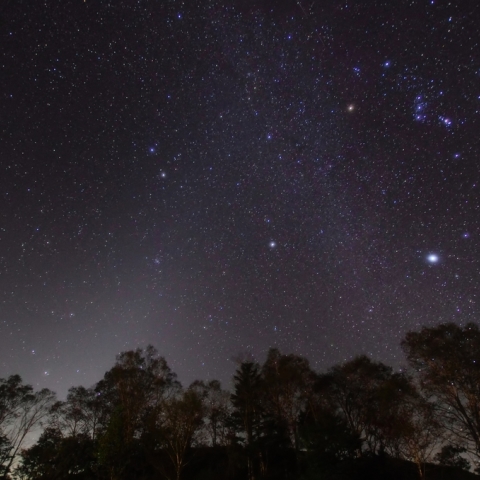 冬の天の川と黄道光