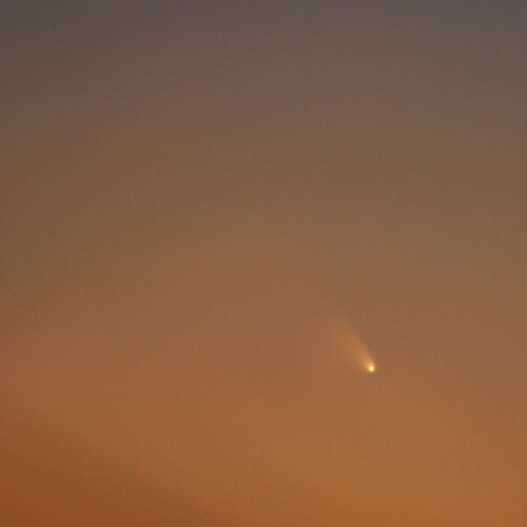 パンスターズ彗星3/11